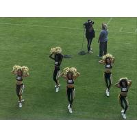 Cheerleaders at the United Bowl