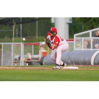 Ottawa Titans field a throw