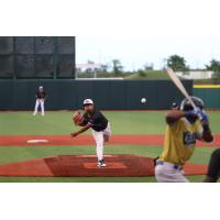 Lake Erie Crushers pitcher Edwin Sanchez