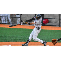 Long Island Ducks outfielder Aaron Takacs
