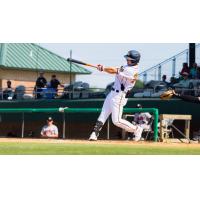 Down East Bird Dawgs utility player Christian Adams