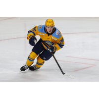 Forward Tanner Kelly with the Toledo Walleye