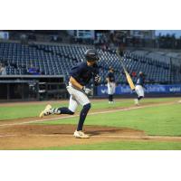 Jackson Lovich of the Tampa Tarpons