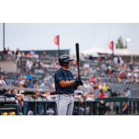 Montgomery Biscuits head to the plate