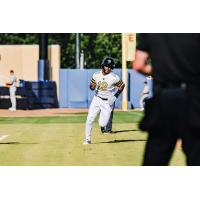Biloxi Shuckers' Jesús Made in action
