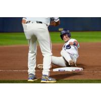 Pensacola Blue Wahoos in action