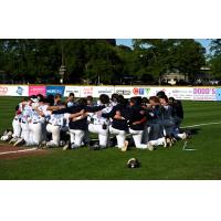 Victoria HarbourCats on game night