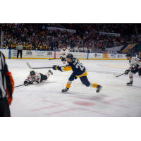 Nick McCarry with the Norfolk Admirals