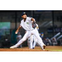 Columbia Fireflies pitcher Henson Leal