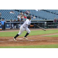 Tampa Tarpons' Luis Escudero in action