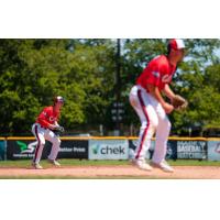 Victoria HarbourCats on game day