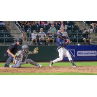 Tri-City Dust Devils shortstop Capri Ortiz