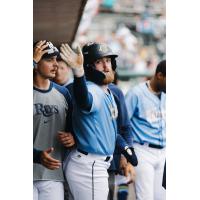 Charleston RiverDogs celebrate in the dugout