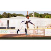 Down East Bird Dawgs on the mound