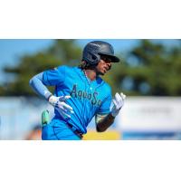Everett AquaSox shortstop Felnin Celesten