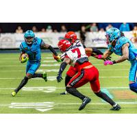 Orlando Pirates running back Pooka Williams finds a lane against the Jacksonville Sharks