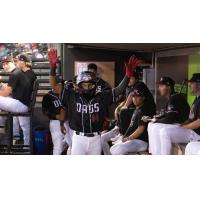 Hickory Crawdads shortstop Curley Martha