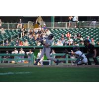 Josh Moylan of the Somerset Patriots