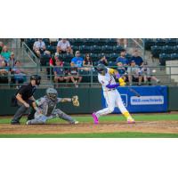 Tri-City Dust Devils at bat