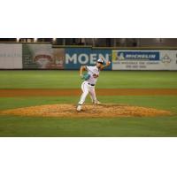 Down East Bird Dawgs deliver a pitch