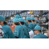 Mississippi Mud Monsters watch the action from the dugout
