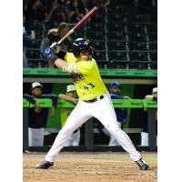 Angel Ramirez at bat for the Columbia Fireflies