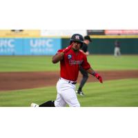 Hickory Crawdads on game night