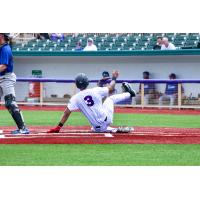 Lake Erie Crushers on game night