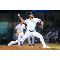 Columbia Fireflies' Henson Leal in action
