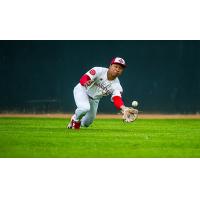 Noah Marcelo of the Winnipeg Goldeyes dives to make a catch