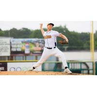 Down East Bird Dawgs pitcher Cam Cotter