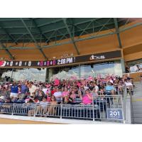 Carolina Blaze fans with rally towels