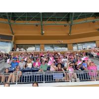 Carolina Blaze fans with rally towels