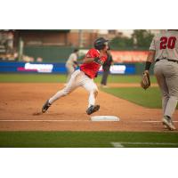 Lincoln Saltdogs outfielder Cam Phelts