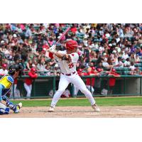 Winnipeg Goldeyes centre fielder Noah Marcelo