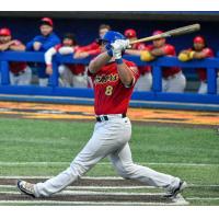High Point Rockers catcher/outfielder Luke Napleton