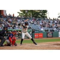 Greensboro Grasshoppers outfielder Jhonny Severino
