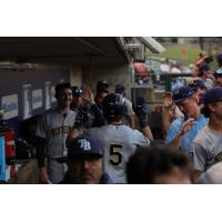 Montgomery Biscuits shortstop Brayden Taylor receives congratulations in the dugout