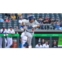 Taylor Young of the Tulsa Drillers
