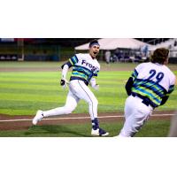 Everett AquaSox outfielder Jonny Farmelo