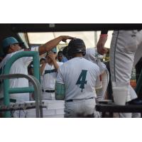 Infielder Travis Holt is congratulated in the Mississippi Mud Monsters dugout