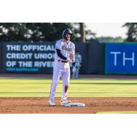 Charleston RiverDogs shortstop Daniel Pierce