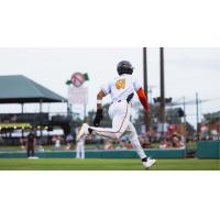 Down East Bird Dawgs outfielder Ali LaPread