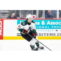 Tucson Roadrunners forward Kevin Rooney
