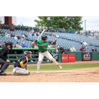 Greensboro Grasshoppers designated hitter Sammy Stafura