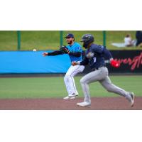 Everett AquaSox shortstop Axel Sanchez makes a throw