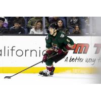 Tucson Roadrunners defenseman Robbie Russo