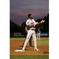 Charleston RiverDogs' Nicandro Aybar