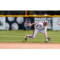 Victoria HarbourCats' David Krahn in action