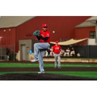 Ottawa Titans' Dwayne Matos on the mound